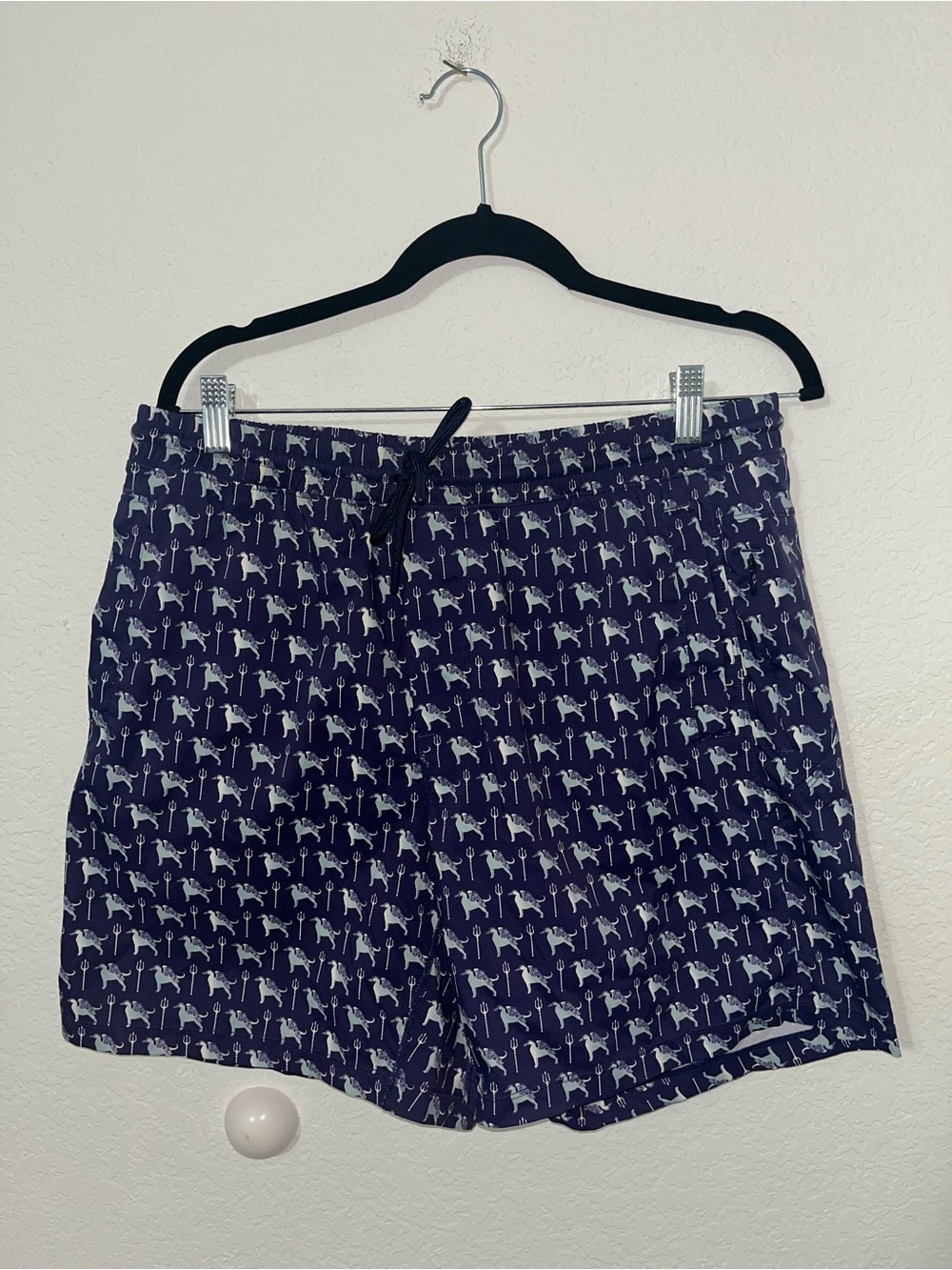 Birddogs Printed Swim Trunks Shorts